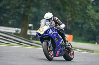 anglesey;brands-hatch;cadwell-park;croft;donington-park;enduro-digital-images;event-digital-images;eventdigitalimages;mallory;no-limits;oulton-park;peter-wileman-photography;racing-digital-images;silverstone;snetterton;trackday-digital-images;trackday-photos;vmcc-banbury-run;welsh-2-day-enduro